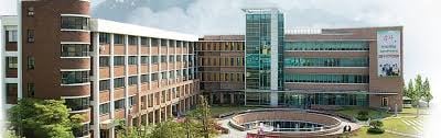 Bachelor of Creative Writing and Media Studies at Korea University - image 1